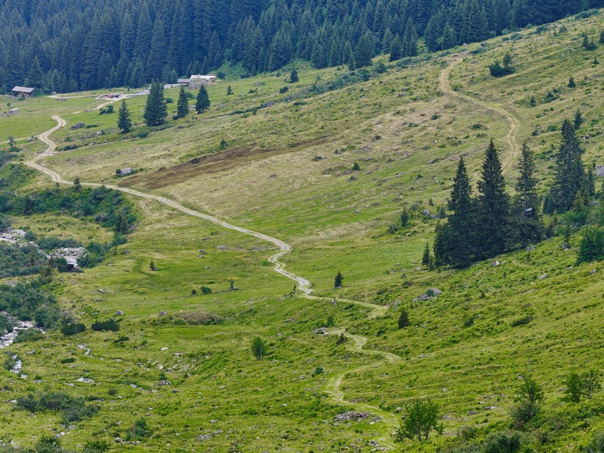 Alpine Lodge Kloesterle Am Arlberg Exteriör bild